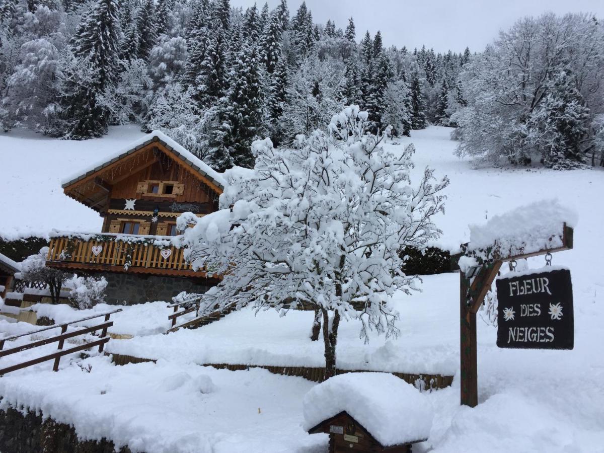 Chalet Fleur Des Neiges Сен-Жан-д'Ольп Экстерьер фото